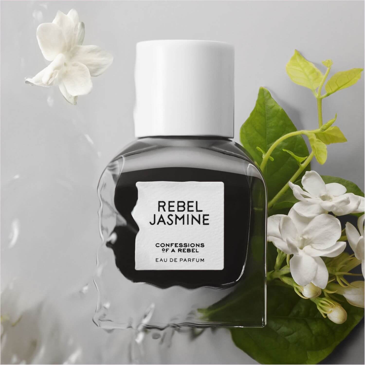 Rebel Jasmine