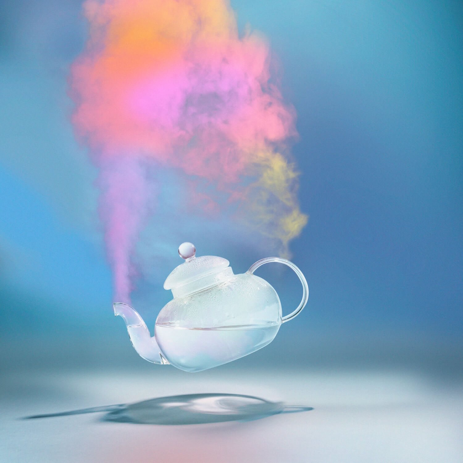 Steamed Rainbow