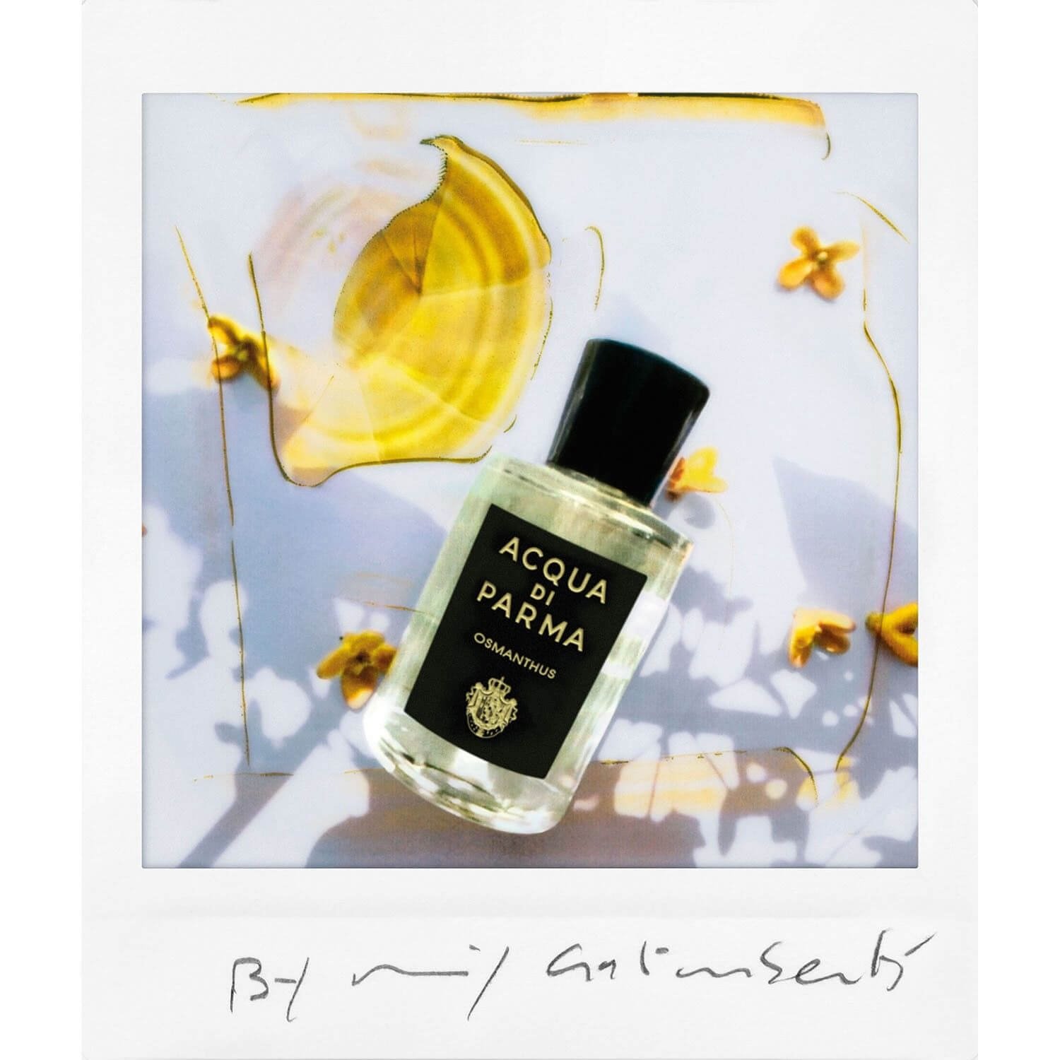 Get ACQUA DI PARMA Osmanthus at Scentbird for $16.95