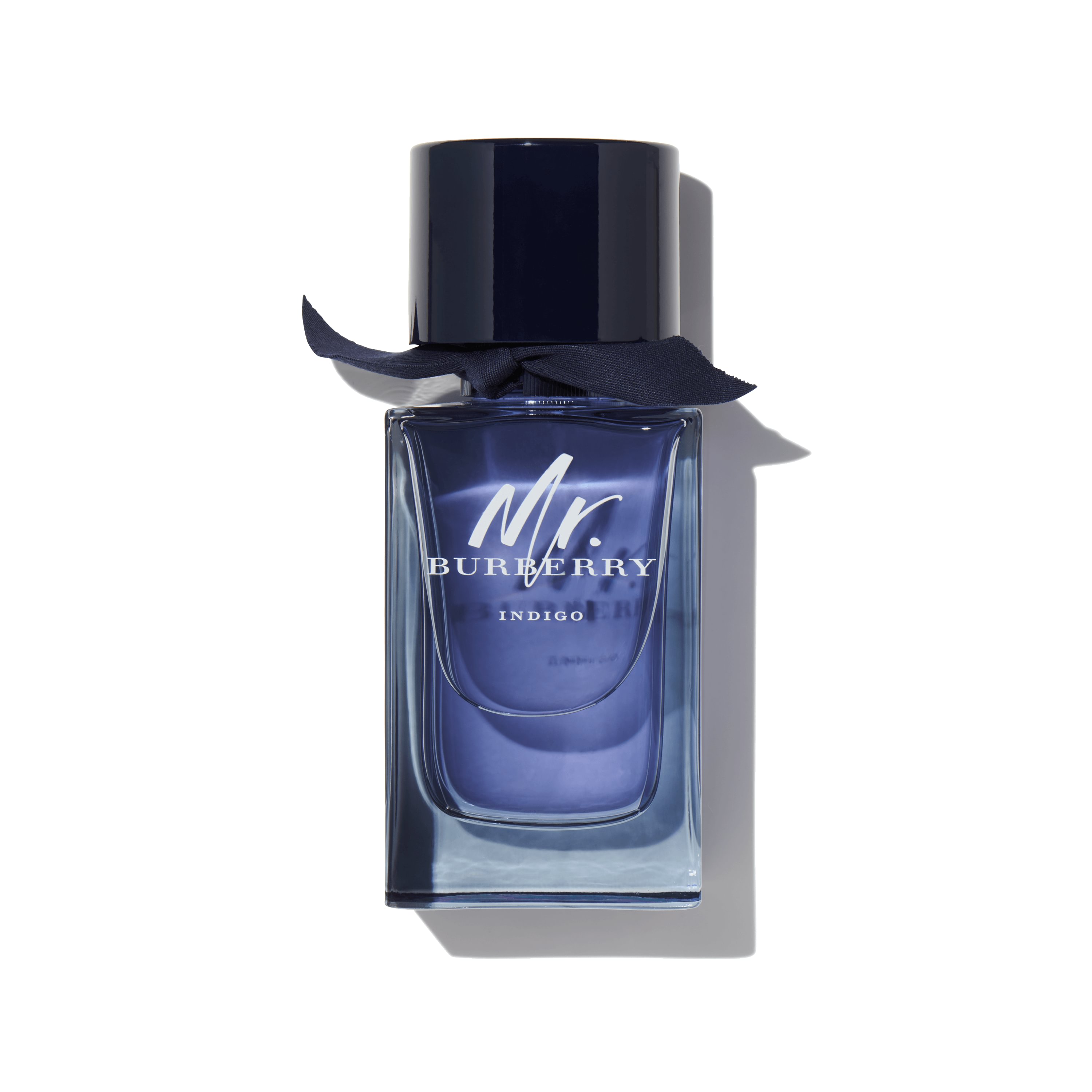 Mr. Burberry Indigo Mens online Fragrance (50ml/1.6oz)