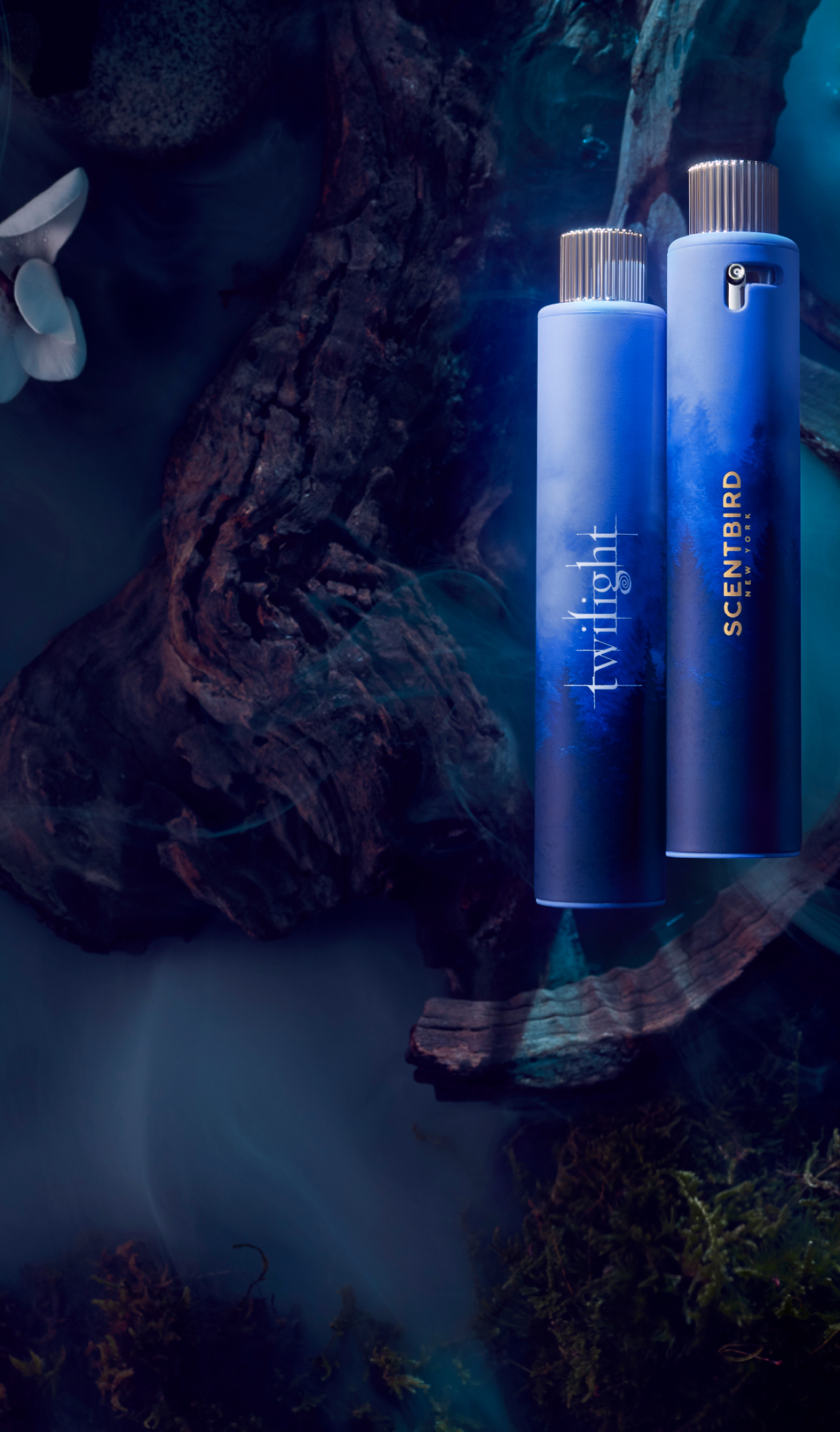 Perfume & Cologne Subscription Box from £7.97 | Scentbird