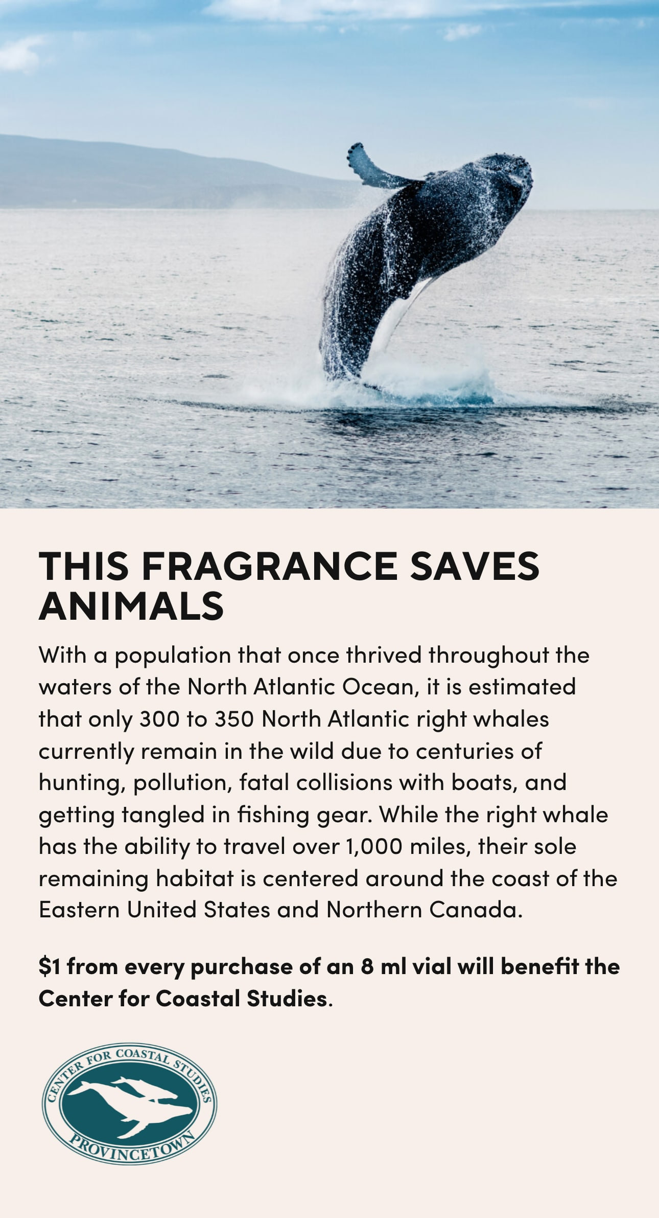 Get Sanctuary North Atlantic Right Whale scent at Scentbird