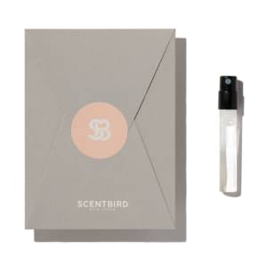 Buy AMOUAGE Reflection Man at Scentbird for 16.95