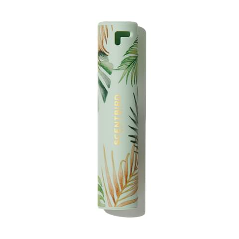 Palm Tree