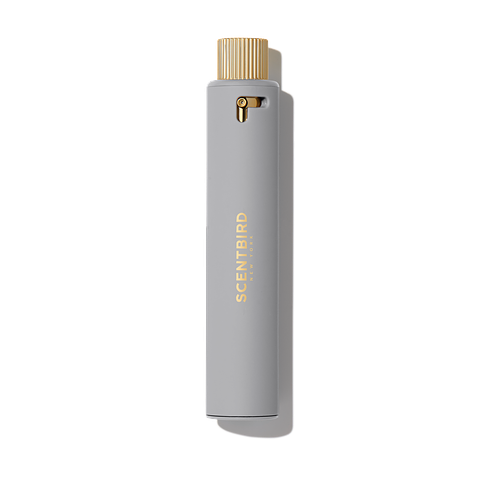 Buy DEREK LAM 10 CROSBY Rain Day at Scentbird for $16.95