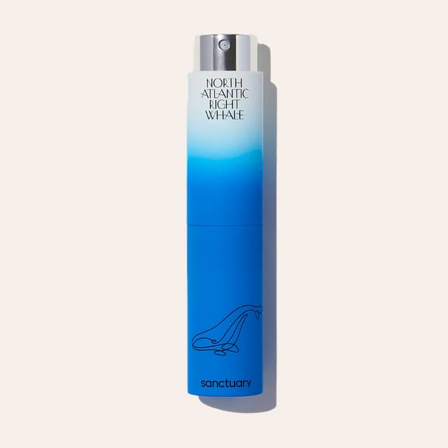 Sanctuary North Atlantic Right Whale Travel Spray