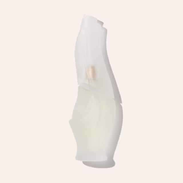 Donna Karan Cashmere Mist EDT