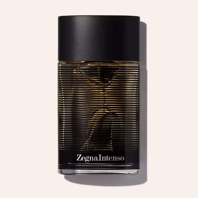 Ermenegildo Zegna Zegna Intenso
