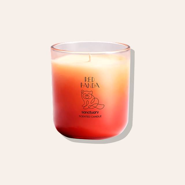 Sanctuary Red Panda Candle