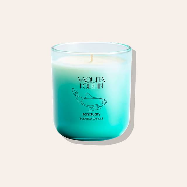 Sanctuary Vaquita Dolphin Scented Candle