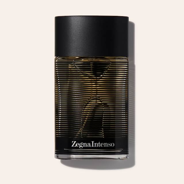 Ermenegildo Zegna Zegna Intenso