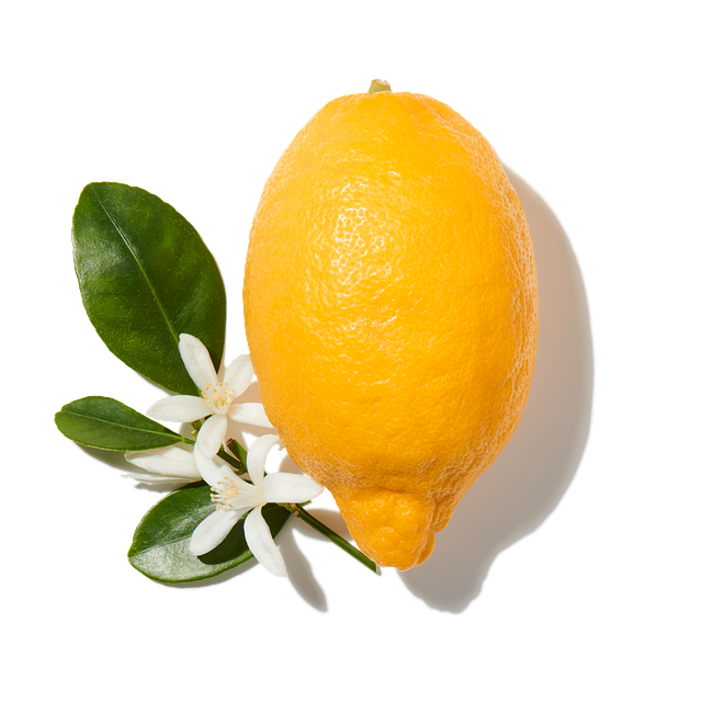 Oud