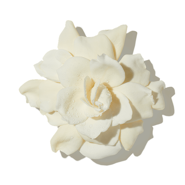 Oud