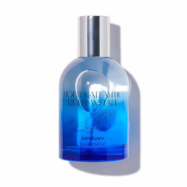 beach perfume